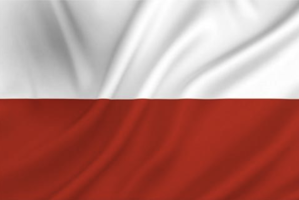 Konkurs Wielcy Polacy